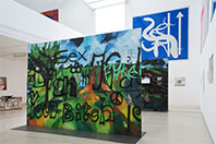 Idee der Freien Flusszone Galerie fuer Landschaftskunst Heidelberger Kunstverein DSC02539 b 198b.jpg