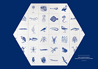 Mark-Dion Plakat Hexagon Freie-Flusszone A0 200.jpg