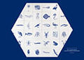 Mark-Dion Plakat Hexagon Freie-Flusszone A0 130.jpg