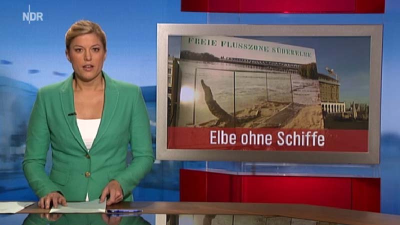 Elbkulturfonds NDR Hamburg-Journal Freie-Flusszone 02 800.jpg